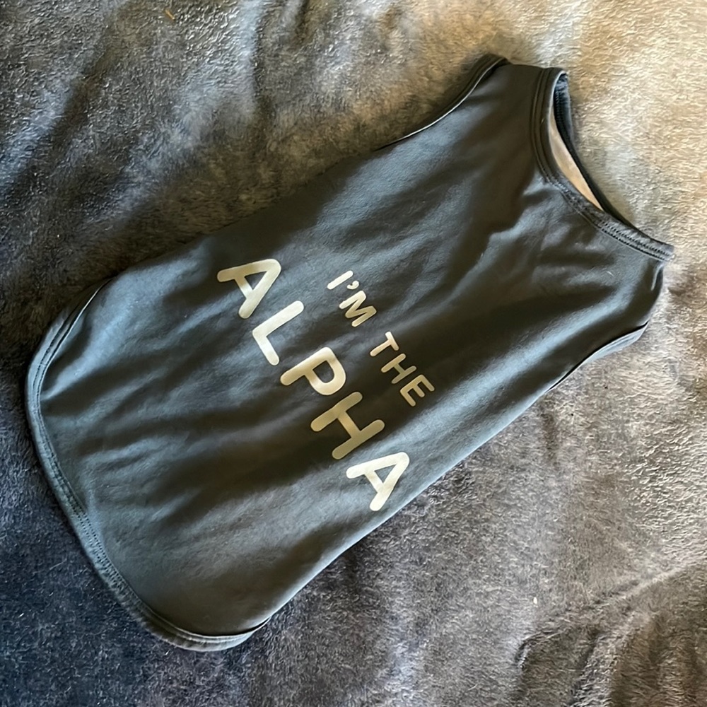 Small blue dog tee, im the alpha